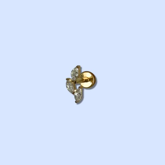 Piercing Léo